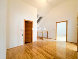 Pronájem bytu 5+kk, Brno - Veveří, Jaselská, 300 m2