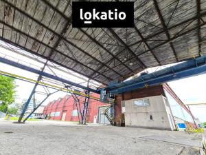 Pronájem skladu, Ostrava, Lihovarská, 1700 m2