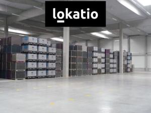 Pronájem skladu, Česká Třebová, 3723 m2