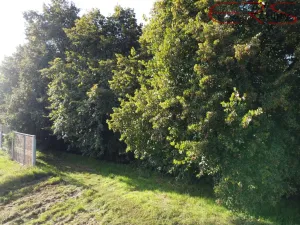 Prodej komerčního pozemku, Benátky nad Jizerou - Benátky nad Jizerou II, 5074 m2