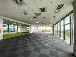 Pronájem kanceláře, Brno - Bohunice, Netroufalky, 1000 m2