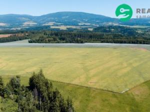 Prodej zemědělské půdy, Prosečné, 40000 m2