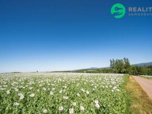 Prodej zemědělské půdy, Prosečné, 40000 m2