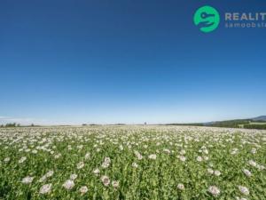 Prodej zemědělské půdy, Prosečné, 40000 m2