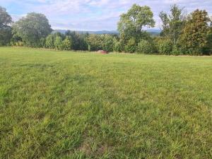 Prodej komerčního pozemku, Karlovy Vary, 3105 m2