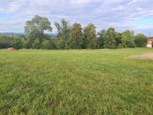 Prodej komerčního pozemku, Karlovy Vary, 3105 m2