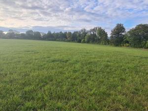 Prodej komerčního pozemku, Karlovy Vary, 3105 m2