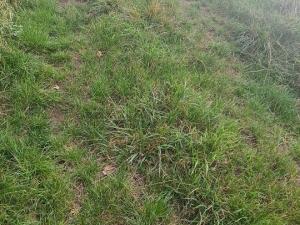 Prodej komerčního pozemku, Karlovy Vary, 3105 m2