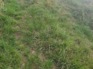 Prodej komerčního pozemku, Karlovy Vary, 3105 m2