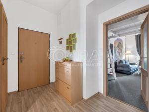 Prodej bytu 1+1, Praha - Žižkov, Bořivojova, 41 m2