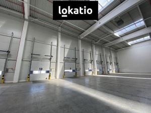 Pronájem skladu, Ostrava - Vítkovice, 5195 m2