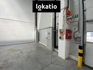 Pronájem skladu, Ostrava - Vítkovice, 5195 m2