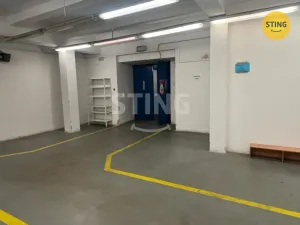 Pronájem skladu, Opava, Rybářská, 320 m2