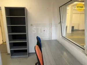 Pronájem skladu, Opava, Rybářská, 320 m2