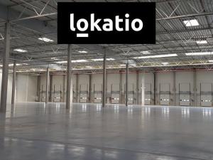 Pronájem skladu, Údlice, 5000 m2