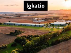 Pronájem skladu, Údlice, 12500 m2