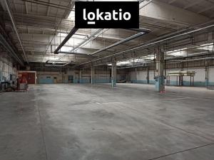 Pronájem skladu, Jihlava, 3353 m2