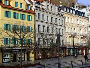 Prodej ubytování, Karlovy Vary, Stará Louka, 1180 m2