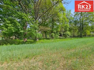 Prodej pozemku pro bydlení, Tři Sekery - Chodovská Huť, 2874 m2