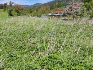 Prodej pozemku pro bydlení, Milotice nad Opavou, 2358 m2