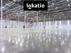 Pronájem skladu, Ústí nad Labem - Všebořice, 12800 m2