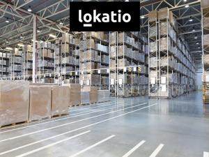 Pronájem skladu, Ústí nad Labem - Všebořice, 12800 m2