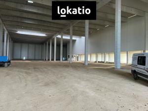 Pronájem skladu, Mohelnice, 10000 m2