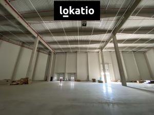 Pronájem skladu, Mohelnice, 10000 m2