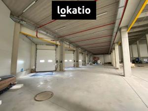 Pronájem skladu, Mohelnice, 10000 m2