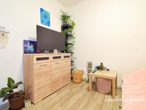 Pronájem bytu 1+kk, Brno, Svitavská, 29 m2