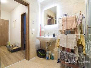 Pronájem bytu 1+kk, Brno, Svitavská, 29 m2