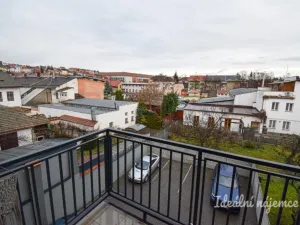 Pronájem bytu 1+kk, Brno, Svitavská, 29 m2