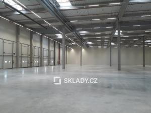 Pronájem skladu, Ostrava, 10000 m2