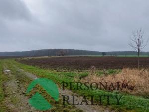 Prodej zemědělské půdy, Lodín, 3093 m2