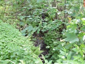 Prodej pozemku pro komerční výstavbu, Horní Heřmanice, 4584 m2