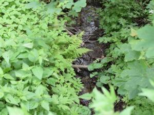 Prodej pozemku pro komerční výstavbu, Horní Heřmanice, 4584 m2