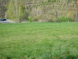 Prodej pozemku pro bydlení, Domašov nad Bystřicí, 11569 m2