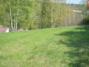 Prodej pozemku pro bydlení, Domašov nad Bystřicí, 11569 m2