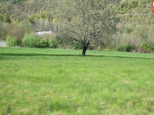 Prodej pozemku pro bydlení, Domašov nad Bystřicí, 11569 m2