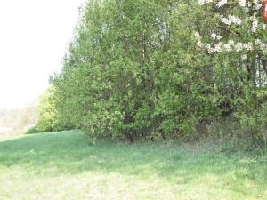 Prodej pozemku pro bydlení, Domašov nad Bystřicí, 11569 m2