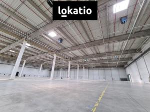 Pronájem skladu, Kadaň, 4650 m2