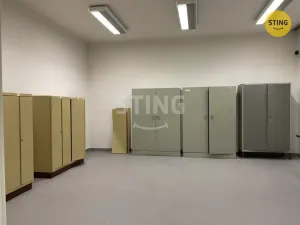 Pronájem skladu, Kopřivnice, 42 m2