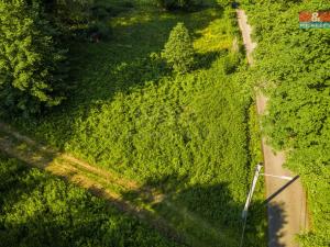 Prodej trvalého travního porostu, Hodkovice nad Mohelkou, 646 m2