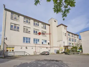 Pronájem komerční nemovitosti, Pelhřimov, Křemešnická, 50 m2