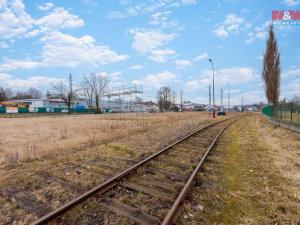 Prodej pozemku, Dolní Rychnov, 5333 m2