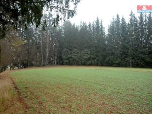 Prodej zemědělské půdy, Lomnice nad Popelkou - Želechy, 2465 m2