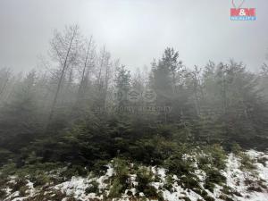 Prodej lesa, Česká Třebová - Svinná, 26820 m2