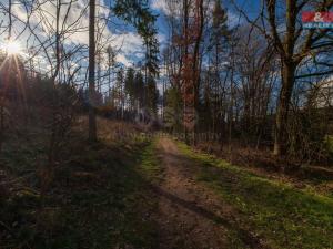 Prodej trvalého travního porostu, Dobřív, 4692 m2