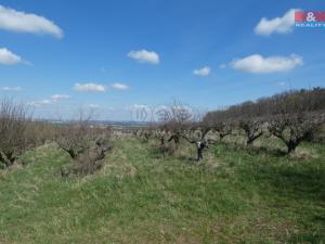 Prodej zemědělské půdy, Kutná Hora - Kaňk, 6390 m2