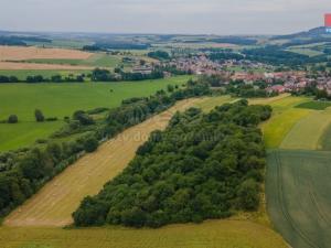 Prodej zemědělské půdy, Kout na Šumavě, 14075 m2